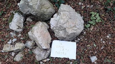 PAROLA PER PAROLA (5)